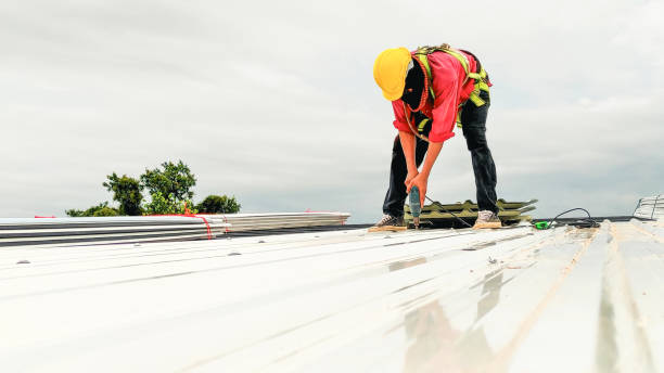 Best Asphalt Shingle Roofing  in Montoursville, PA